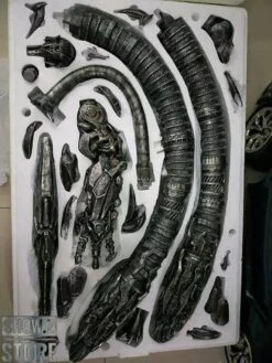 HEAT Studio 1/6 Custom Made Shockwave Statue -Figure Forge Outlet Store 43f86241dc