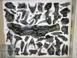 HEAT Studio 1/6 Custom Made Shockwave Statue -Figure Forge Outlet Store 4a8d2dc44f