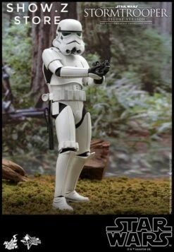 Hot Toys 1/6 Stormtrooper Storm Trooper MMS515 Star Wars Deluxe Version -Figure Forge Outlet Store cbf58be6a8